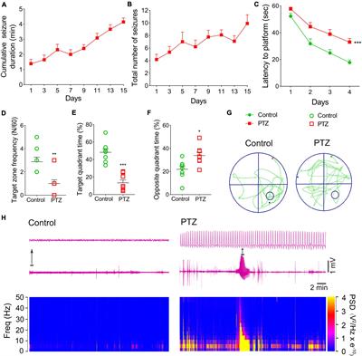 Attenuated iron stress and oxidative stress may participate in anti-seizure and neuroprotective roles of xenon in pentylenetetrazole-induced epileptogenesis